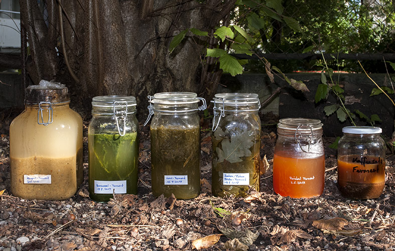 Various fermentations for nutrient production