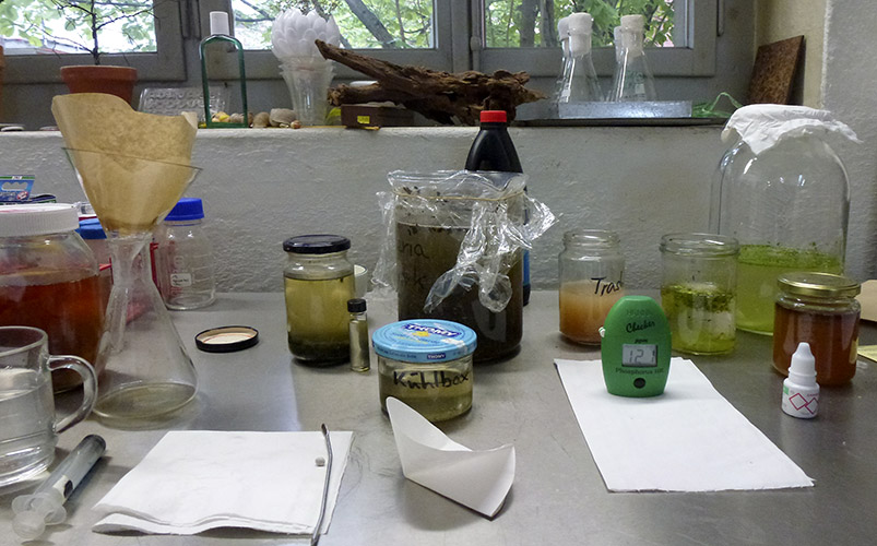 We tested all our fermentations for nutrients concentration