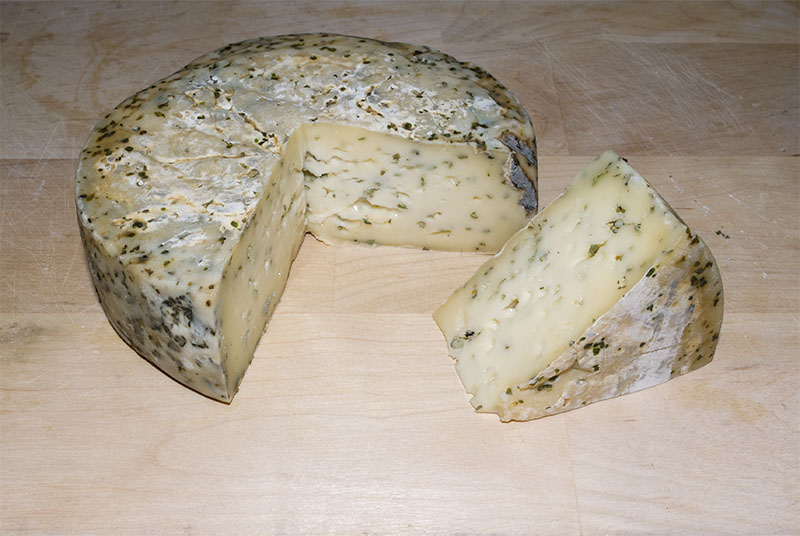 Lemna gibba Cheese