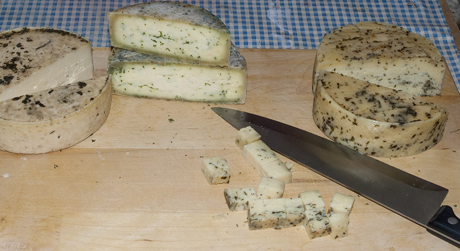 Duckweed-Cheese (Lemna minor flavour / Spirodela polyrhiza flavour)