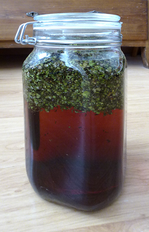 Start of the liqueur production. Lemna minor makes a deep red colour in the beginning.