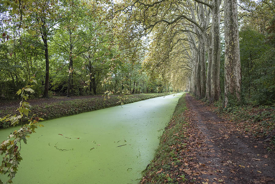 Canal de Berry Bourges France October 2019