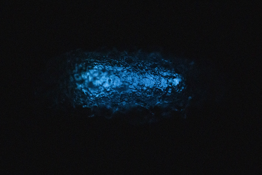 Cocon in totaler Dunkelheit. Schlieren ZH 2022-06-13 (Nikon D810 / F5 / 4min / ISO 8000 / Makro 60mm)