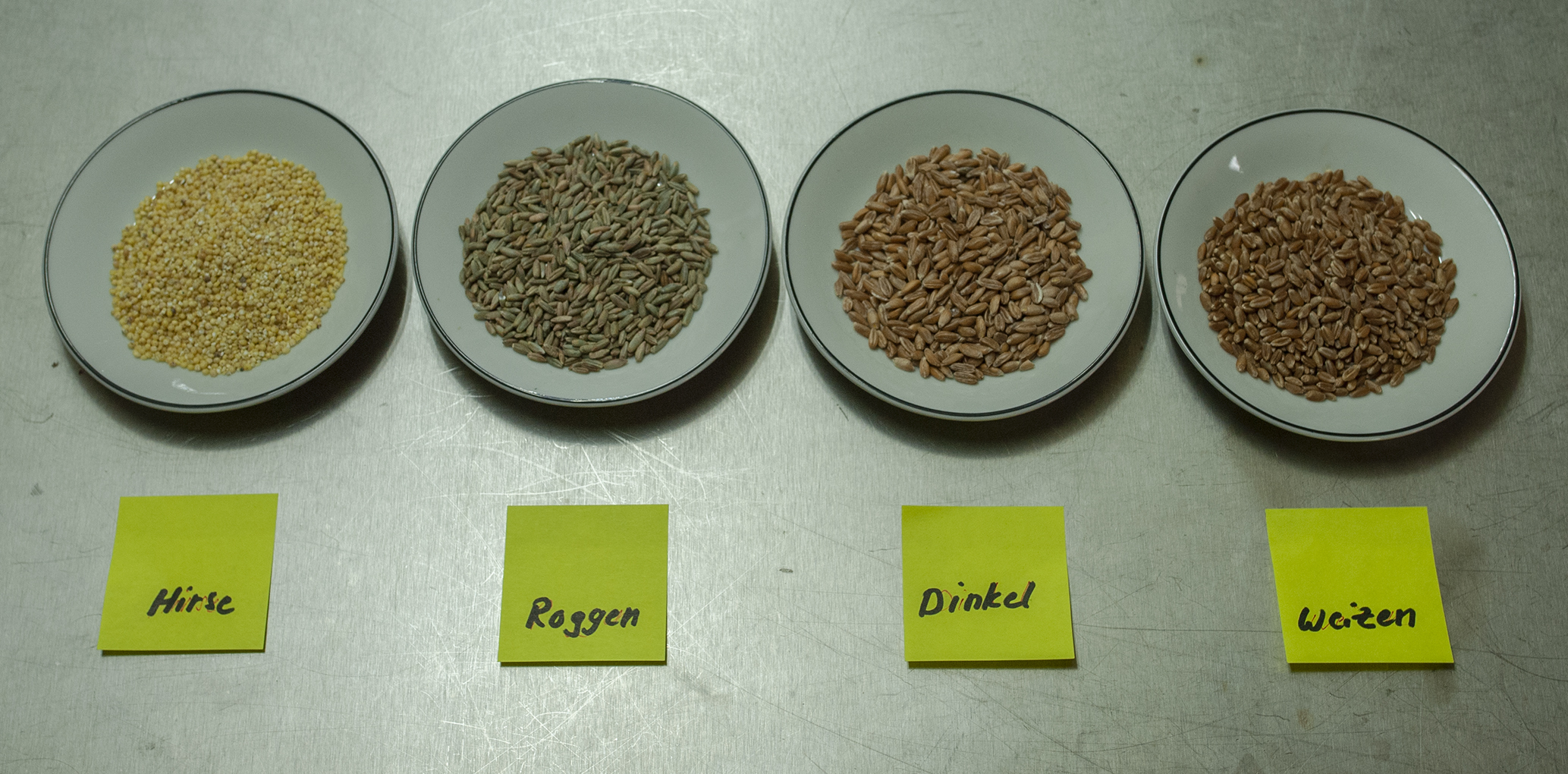For the grain spawn you can use: millet, rye, spelt, Wheat
