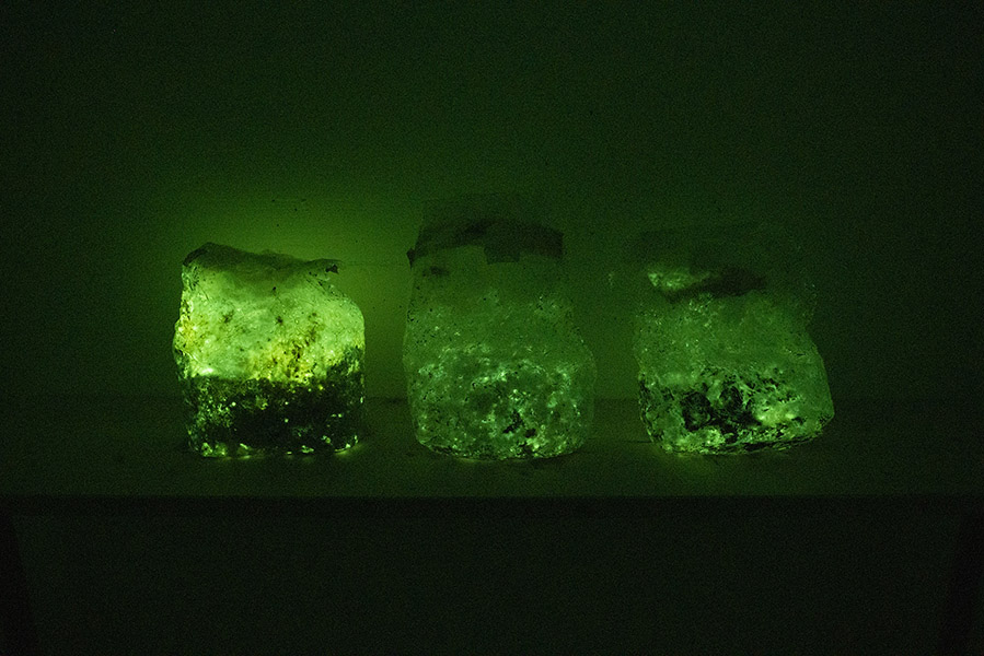 Substrate bags with mycelium, in the dark 4.11.2020 (F3.2 / 4min)