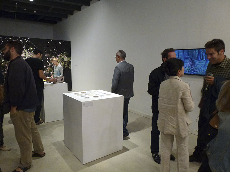 Our Video and Petri Dishes in the group exhibition