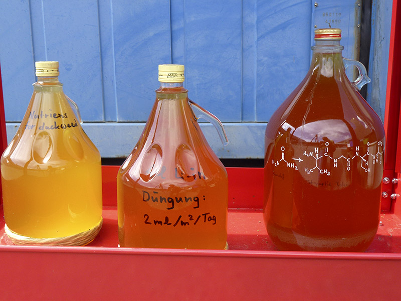 Urine bottles for fertilizing