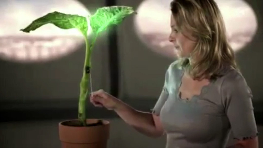 Video <strong>Glowing Plant Project 2</strong> - Footage from: <em>Leuchtende Bäume!</em> - Wissen vor acht – Zukunft - ARD | Das Erste 10.11.2011